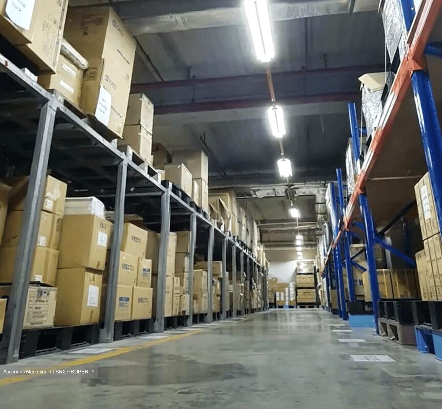 Imm Building (D22), Warehouse #500412671